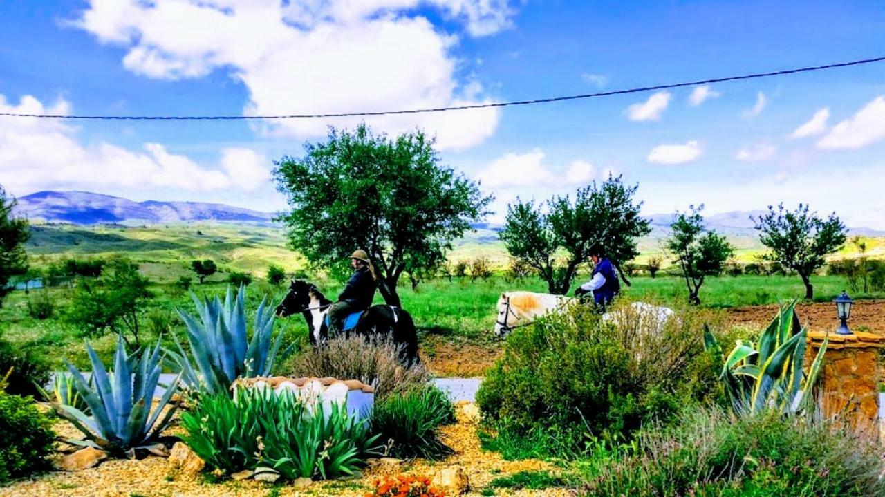 דירות Serón Casa Con Vistas מראה חיצוני תמונה